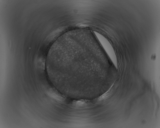 X0000092080180200710101048