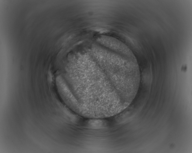 X0000092080181200710101048