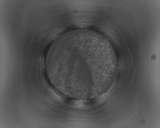 X0000092080182200710101048