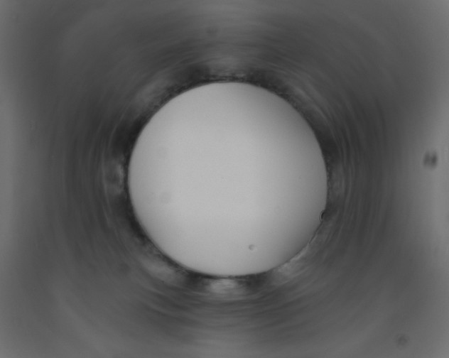 X0000092080183200710101048