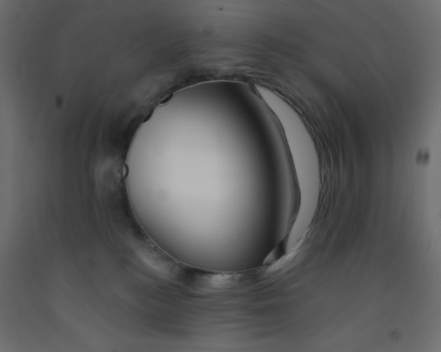 X0000092080184200710101048