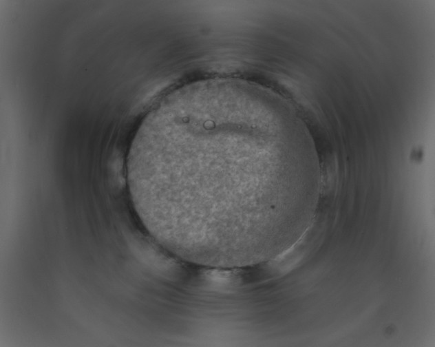 X0000092080187200710101048