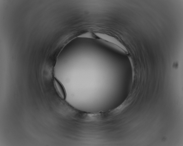 X0000092080188200710101048