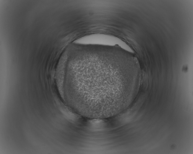 X0000092080189200710101048