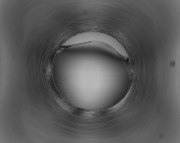 X0000092080190200710101048