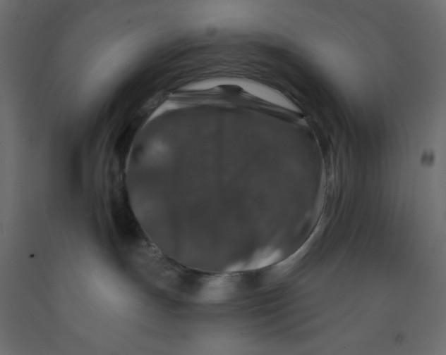 X0000092080191200710101048