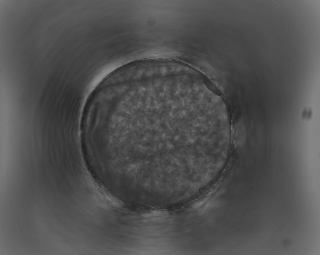 X0000092080196200710101047