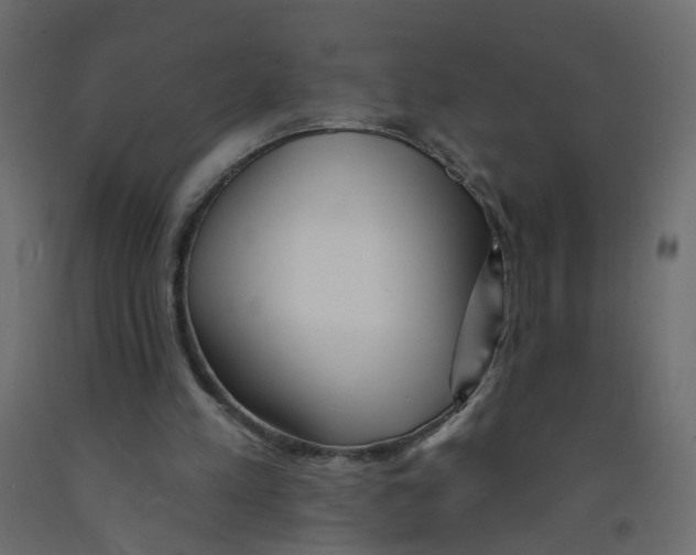 X0000092080197200710101047