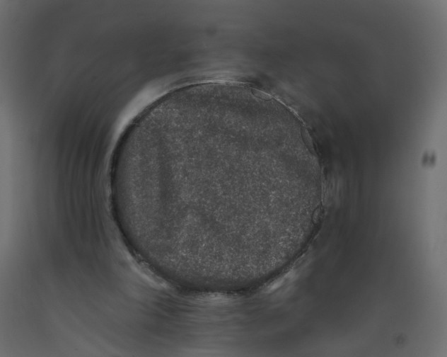 X0000092080198200710101047