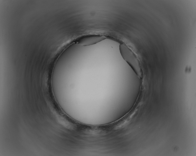 X0000092080201200710101047