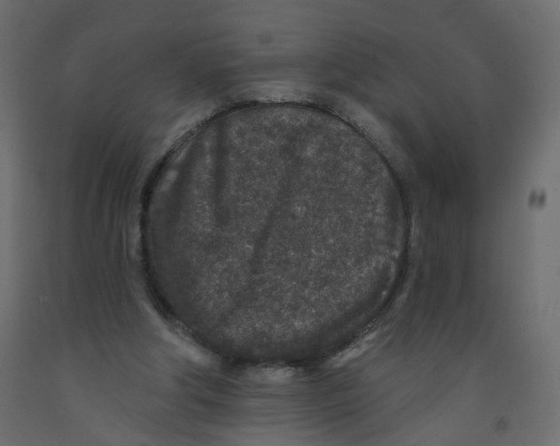 X0000092080202200710101047