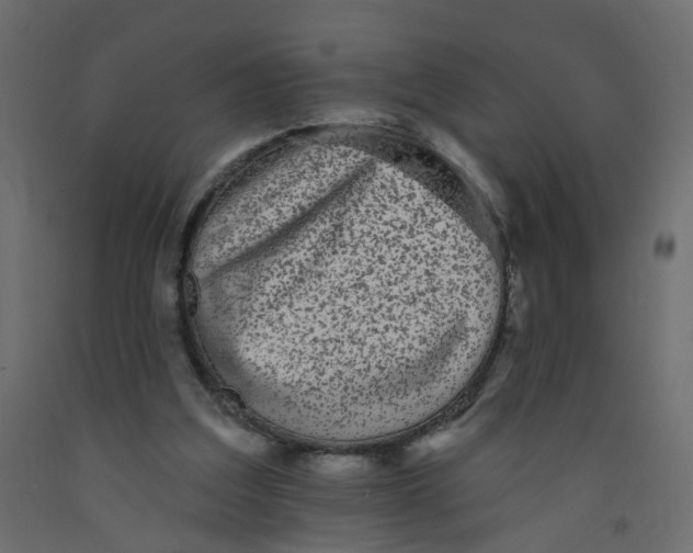 X0000092080203200710101047