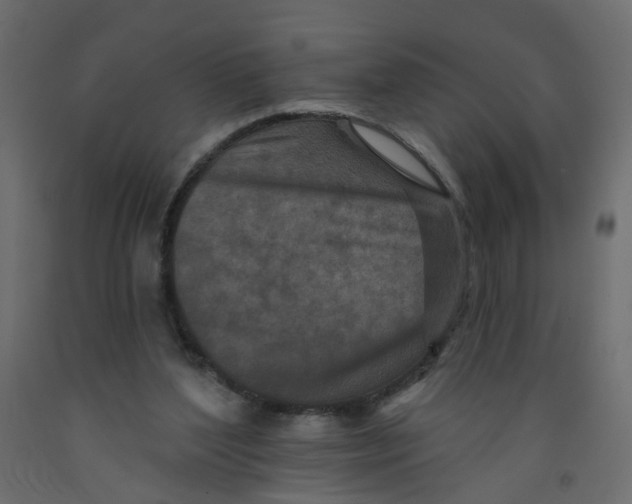 X0000092080204200710101047