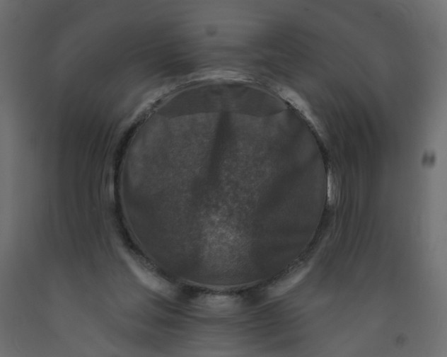 X0000092080205200710101047