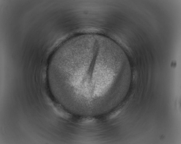 X0000092080206200710101047