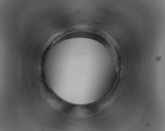 X0000092080207200710101047