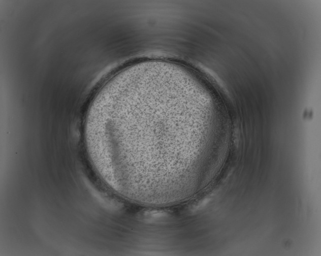 X0000092080208200710101047