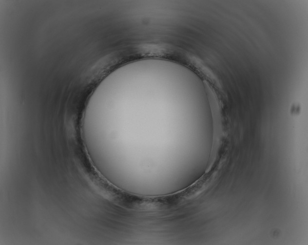 X0000092080209200710101047