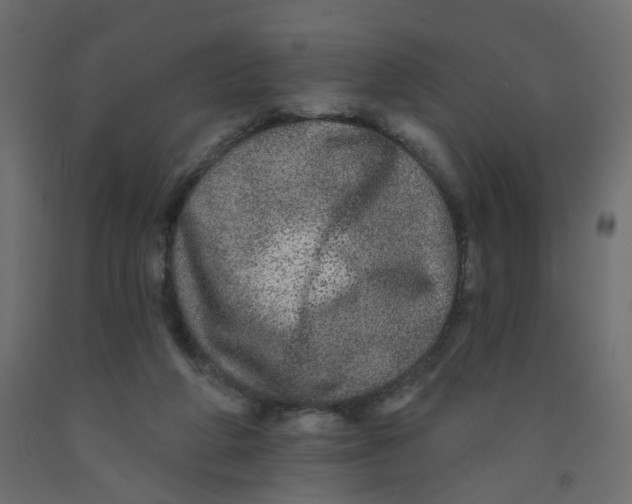 X0000092080210200710101047