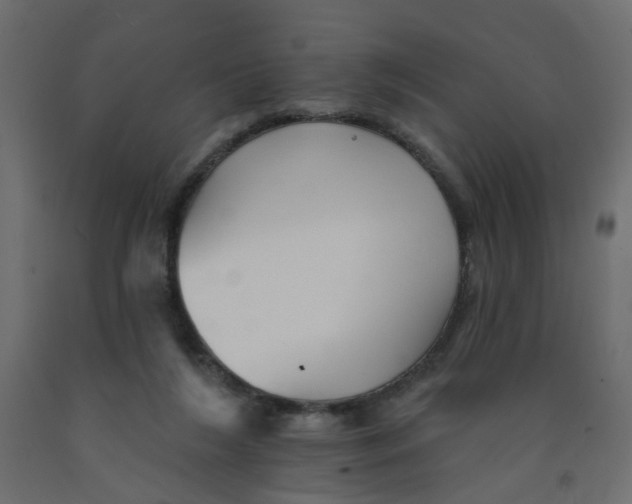 X0000092080212200710101047