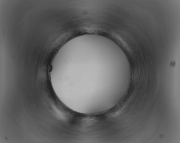 X0000092080213200710101047