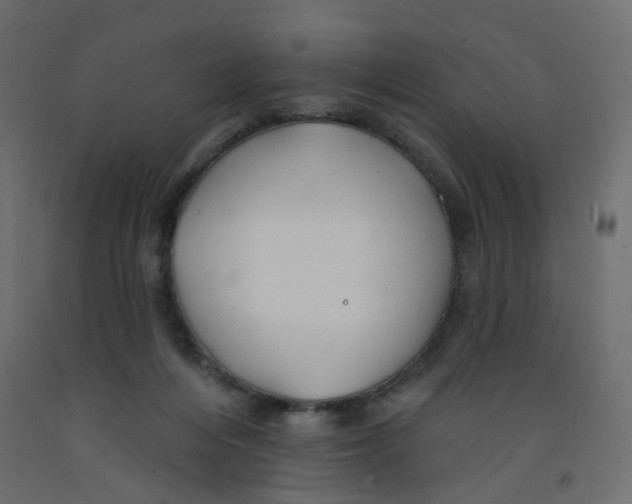 X0000092080216200710101047