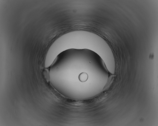 X0000092080219200710101047