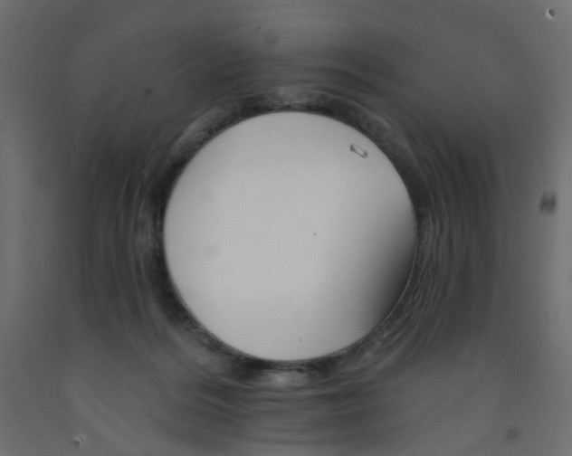 X0000092080220200710101047