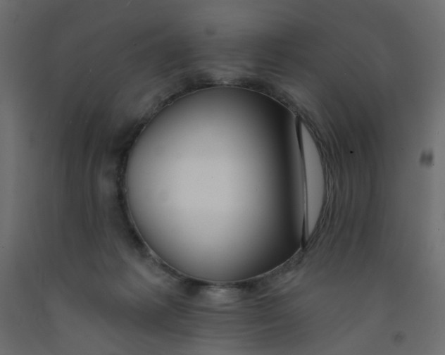 X0000092080221200710101047