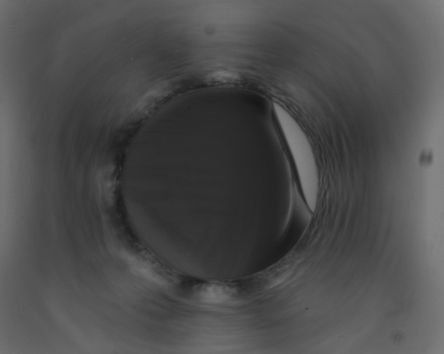 X0000092080223200710101047