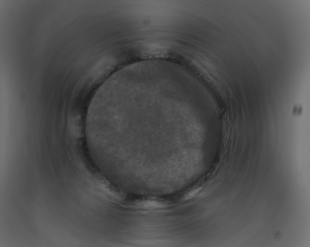 X0000092080224200710101047