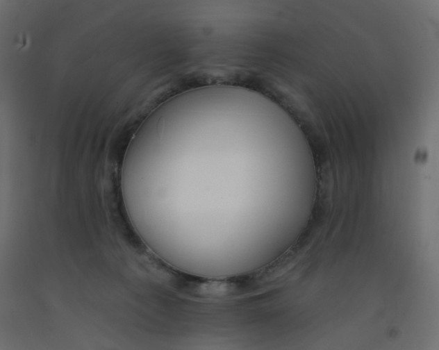 X0000092080225200710101047