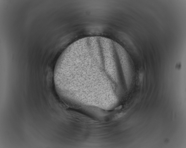 X0000092080228200710101047