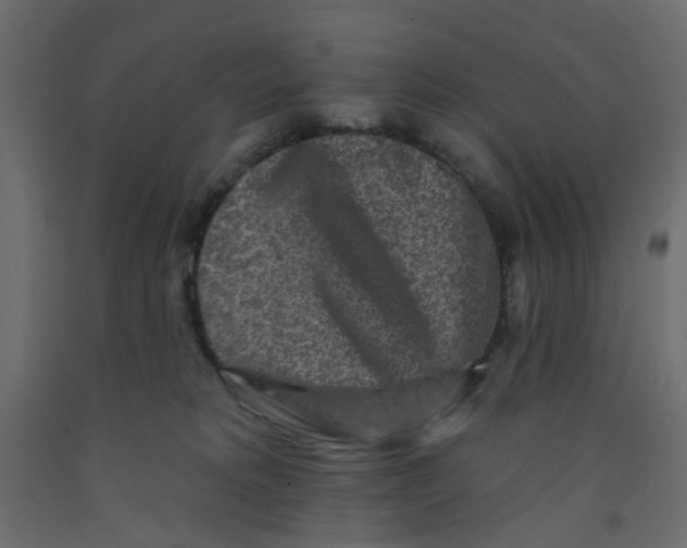 X0000092080229200710101047