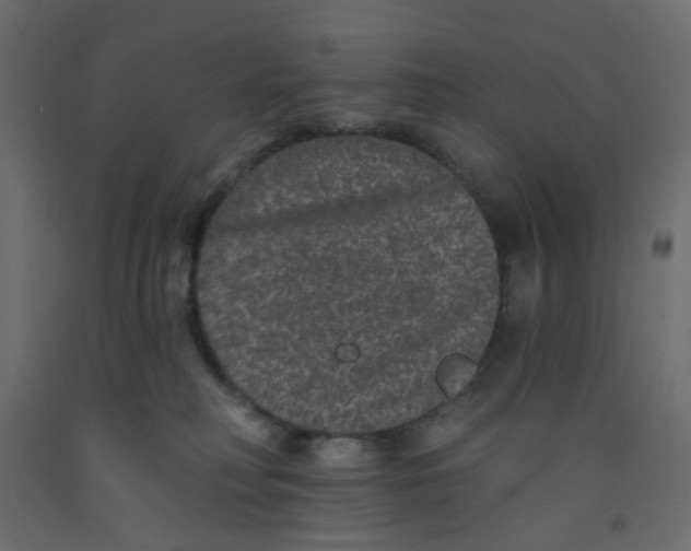 X0000092080230200710101047