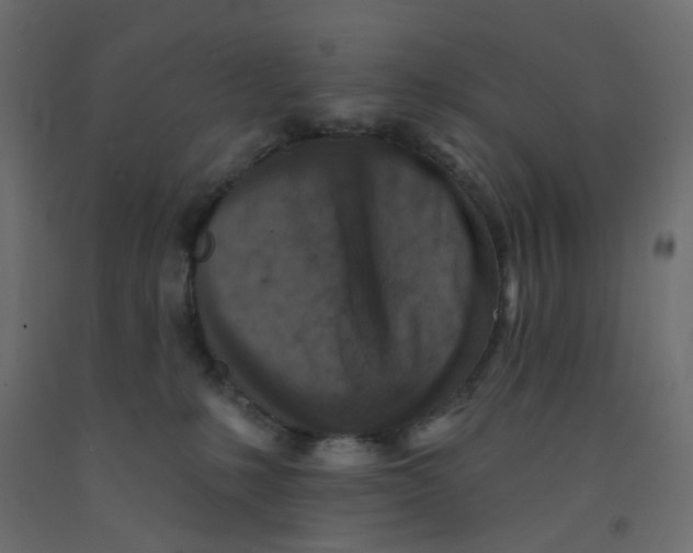 X0000092080231200710101047