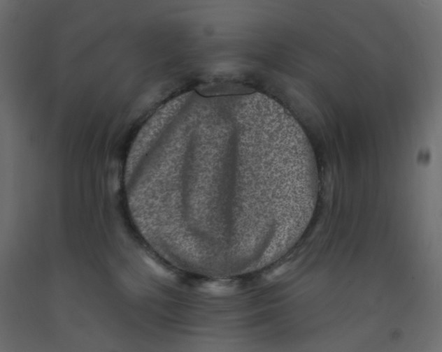 X0000092080232200710101047