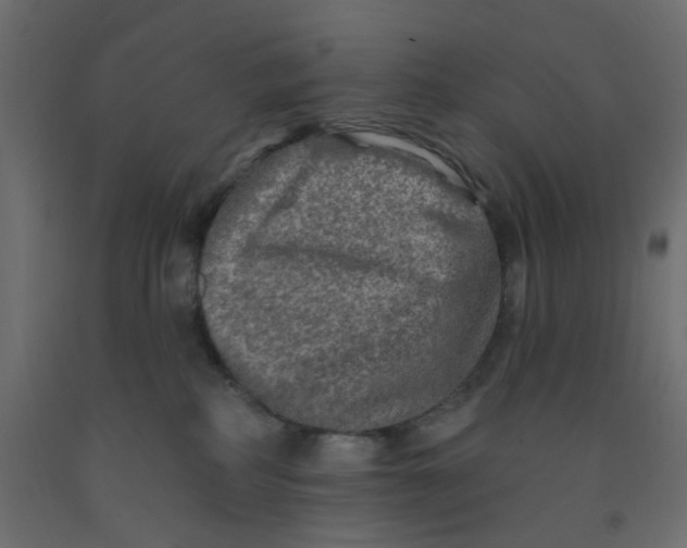 X0000092080234200710101047