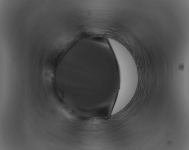 X0000092080235200710101047