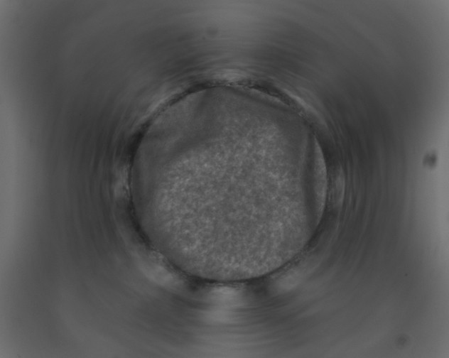 X0000092080236200710101047