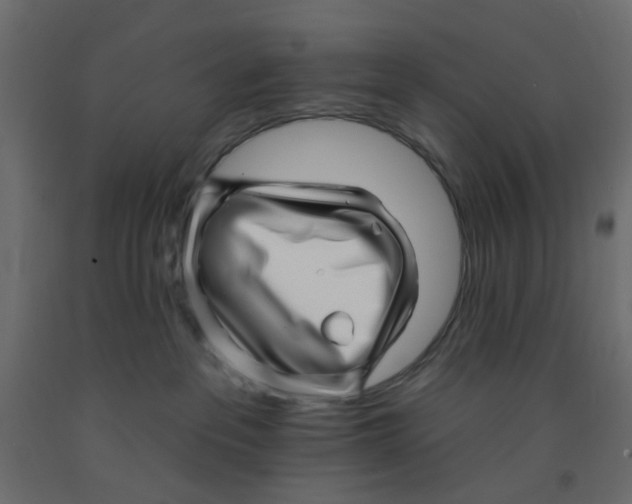 X0000092080237200710101047