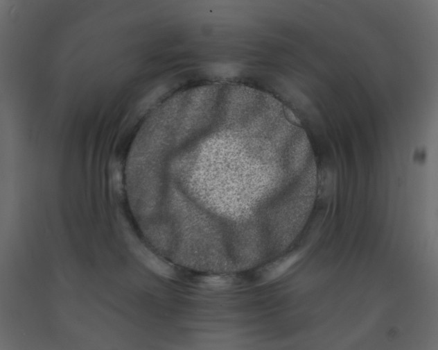 X0000092080238200710101047