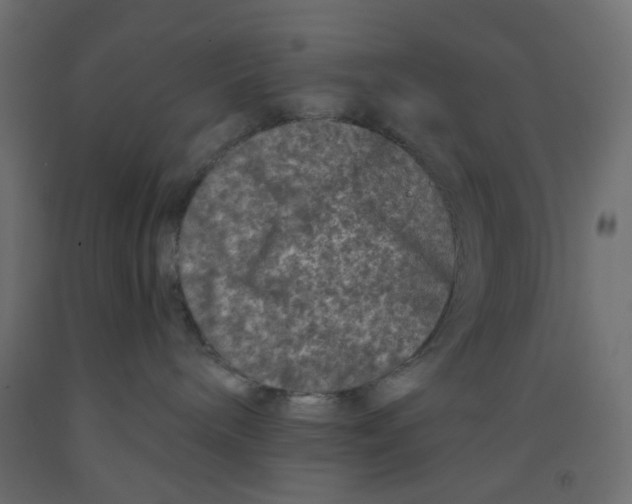 X0000092080240200710101046