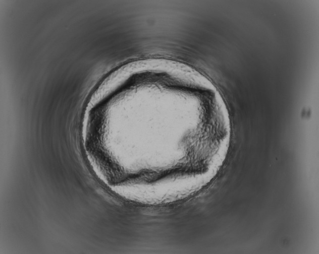 X0000092080241200710101046