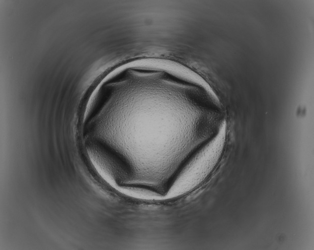 X0000092080242200710101046