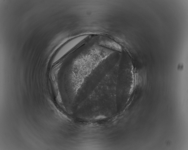 X0000092080243200710101046