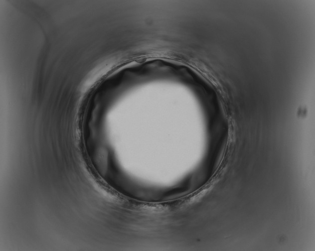 X0000092080245200710101046