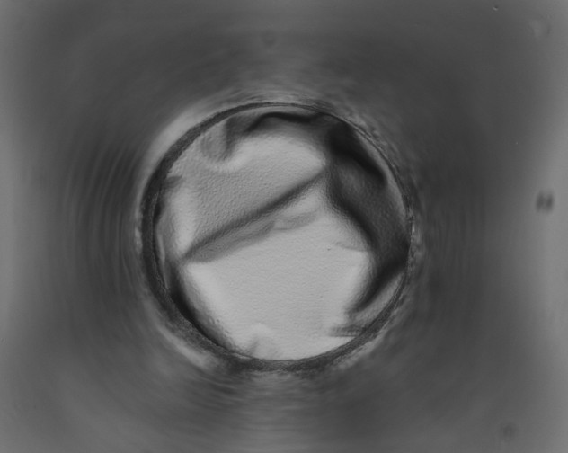 X0000092080246200710101046