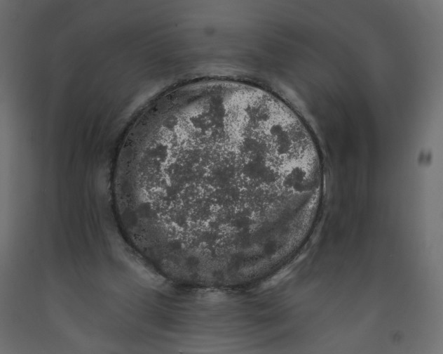 X0000092080249200710101046