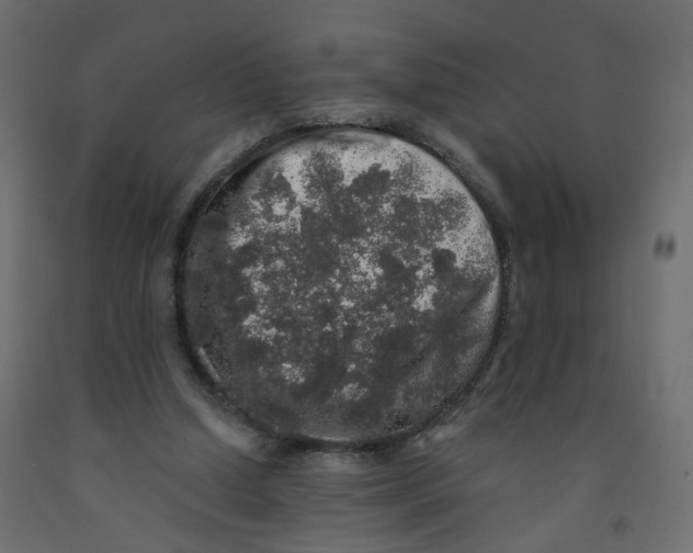 X0000092080250200710101046